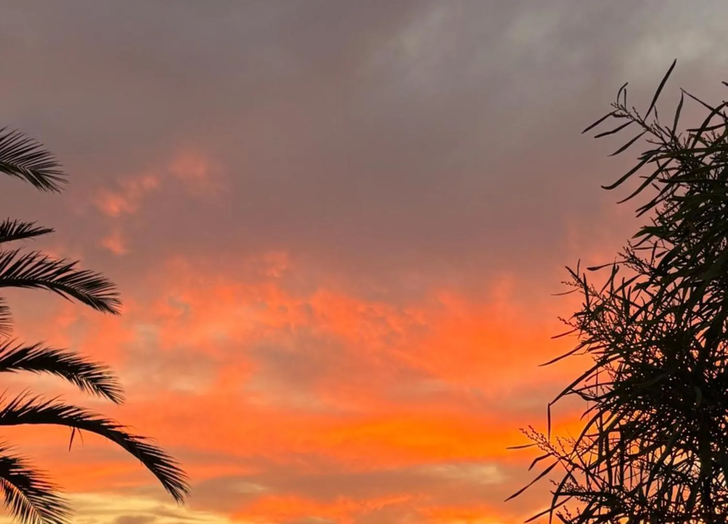 Orange House, Surf&Yoga Lajares Villa Spain
